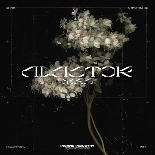 Dark/HardTechno/Industrial 2