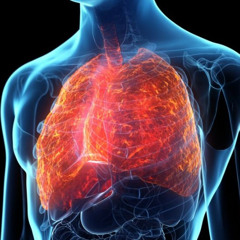 Tunisian Idiopathic Pulmonary Fibrosis Clinical Practice Guideline