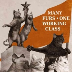 LOS COLECCIONISTAS DE DISCOS SON AHUEONAOS PRETENCIOSOS (02)