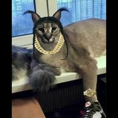 Cat Smoke - Welcome To The Party