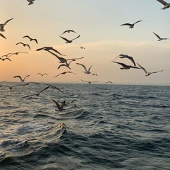 adele set fire to the rain remix