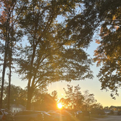 "Take those birds, for example."