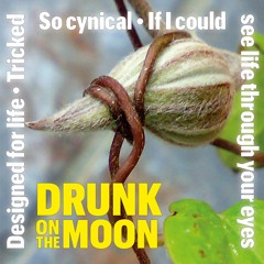 If I could see life through your eyes