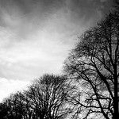 SenaȘener - DostumDeǧilUykular cover