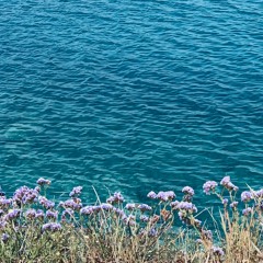 Ocean - a 15 min part-guided meditation with MTW