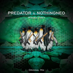 Predator & NothingNeo - Winged Prey [Original Mix]
