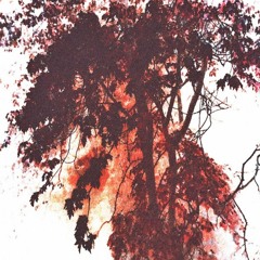 Kiss In October