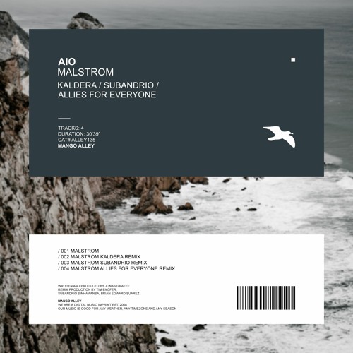 AIO Malstrom