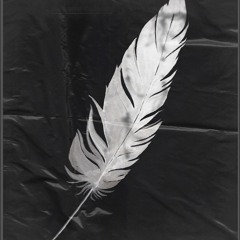 feather (remix)