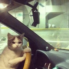ROUGH GETAWAY