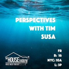 Perspectives With Tim Susa - D eep Mix
