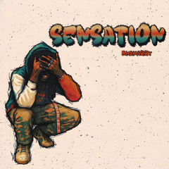 Sensation (prod. Noizrunitup)