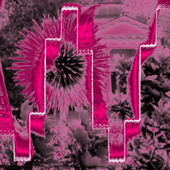 PLATO No. 10746 Armistice Day