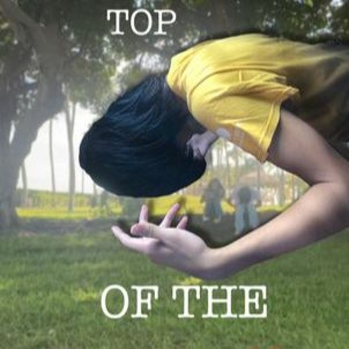 ON TOP OF THE TREE