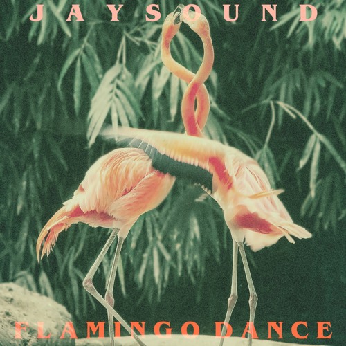 Flamingo Dance | Single (Playlist To Paradise)