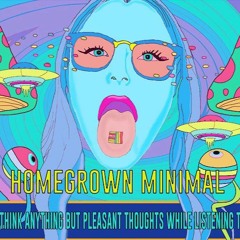Homegrown Minimal 12.0 - Rich Morgan Mix