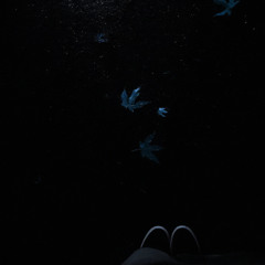 If i let you go