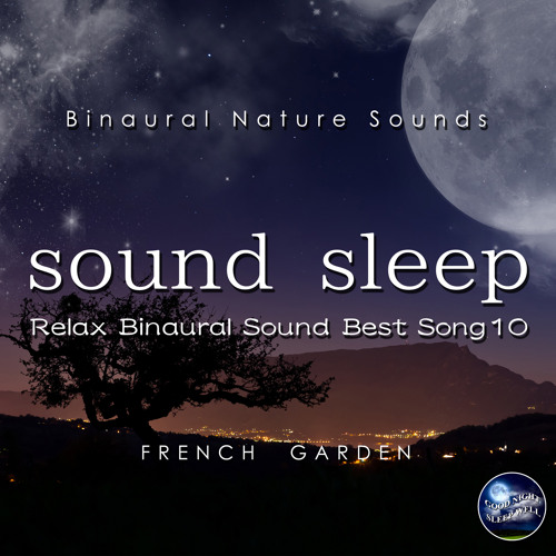 Orchestral Suite No.3 in D Major, BWV 1068: II. Air (Instrumental)