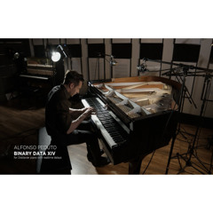Alfonso Peduto - Binary Data XIV