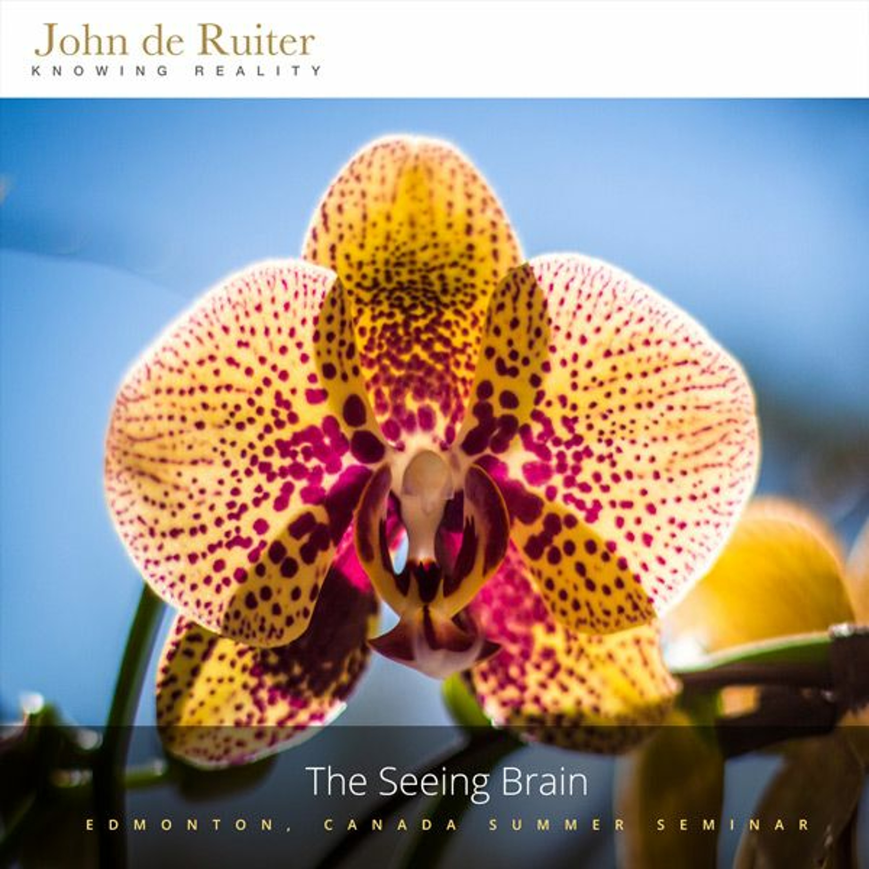 346 - The Seeing Brain - 1 of 1 episode artwork