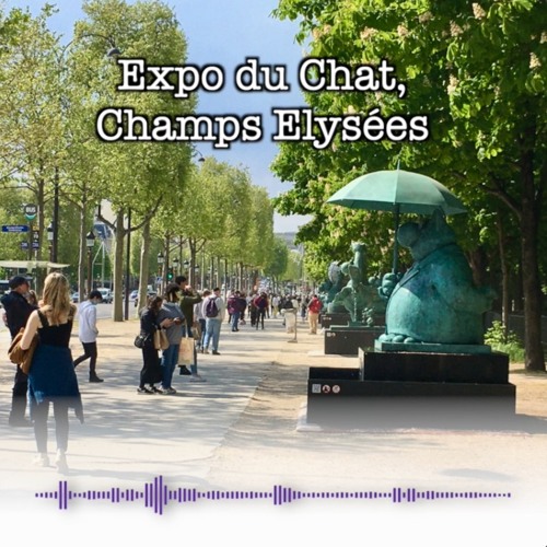 Champs Elysées, Expo Du Chat