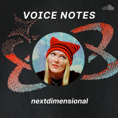 Voice Notes: nextdimensional on "Portal 3"