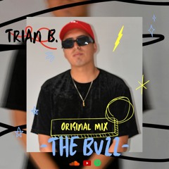 Trian B - The Buzz (Original Mix)