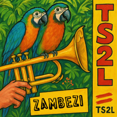 Zambezi (in the style of The Piranhas)