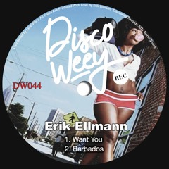 Erik Ellmann - Want You DW044