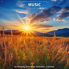 Tranquilizing Reflections