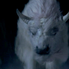 Running With The White Buffalo (8/31/25)