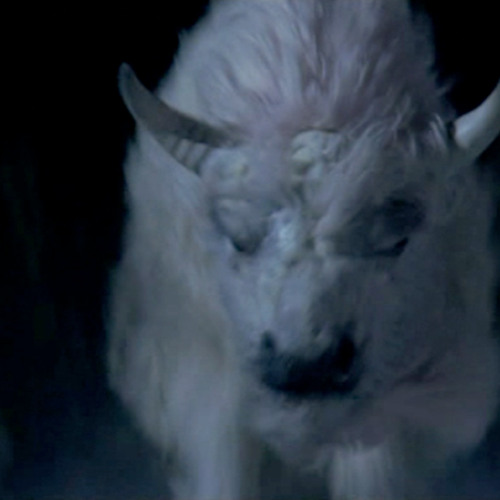 Running With The White Buffalo (8/31/25)
