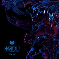 Convexity - Manifold (Pjeerd Remix)