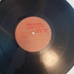 Michael Palmer - She A Gwan (Prince Jammy Dub Plate) 85