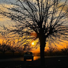 Yaar Ko Hamne Remix _ Abida Parveen _ Sufi Kalam ❤️ SaK