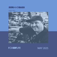 Sun and Bass mini mix