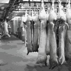 Мясник (Шмель)