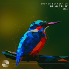 Brian Cruse - Sounds Between Us 084