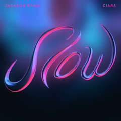 Slow • Don't Think I'm Not | Jackson Wang & Ciara • Kandi [MASHUP]