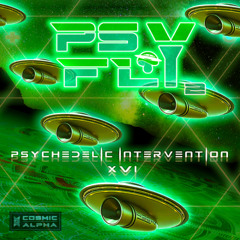 PSYCHEDELIC INTERVENTION 16 - 432Hz PSY-FLY II PROMO SET 02 - C0SM1C-4LPH4