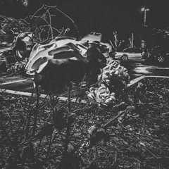 Im So High, Cus Im Up All Night