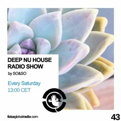 Ibiza Global Radio - Deep Nu House by SO&SO Episode 043
