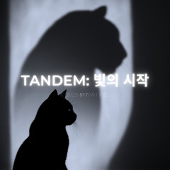 Tandem 빛의 시작
