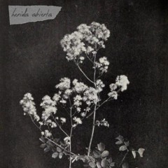 la ausencia duele como estacas. - aemilius