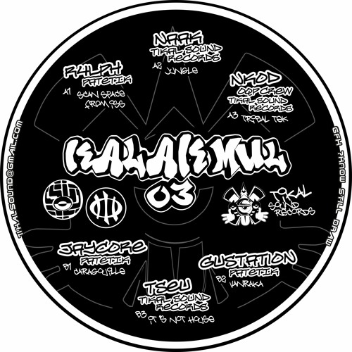 B3. Tseu Tikal Sound Records - It's Not House