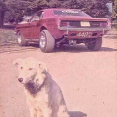 Hank Williams, Jr - Old Nashville Cowboys - LIVE - 1980