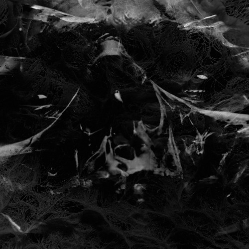 3.2KM - Destination Reached