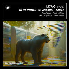 NEVERHOOD #08 w/ Asymmetrical