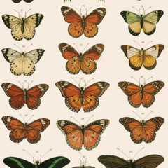 19th birthday clips w/ friends