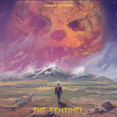DEAD OTTER 'Space Shadows' (2025)
